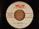 The Traits  Live It Up/Yes I Do  Rockabilly Roy Head 1959 TNT