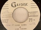 LORD TANAMO - COME DOWN / I'M HOLDING ON 45 JAMAICAN GAYDISC SKA HEAR IT