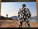 Pink Floyd Delicate Sound Of Thunder EQ5009 1st Press Original Vinyl Record
