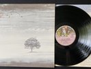 GENESIS Wind & Wuthering LP Italy del 1976 CHARISMA 9124003 1a Stampa Come Nuovo