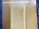 SONIC YOUTH - DAYDREAM NATION 4 LP Box Set 2007 Goofin' GOO-103