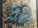 1st Press Ceschi Pat The Bunny Split 1:500 LP VINYL 2016 Record Ramshackle Glory