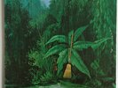 Gabor Szabo - Magical Connection, LP, (Vinyl)