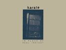 Karate - In Place Of Real Insight (LP) (Indigo Die Dye)