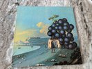 MOBY GRAPE WOW COLUMBIA 1968 PITMAN PRESSING PSYCH EXCELLENT