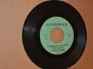 THE FOUR SPORTSMEN: IF YOUR HEART CAN TAKE IT; 1962 SUNNYBROOK VG++ DOO WOP 45