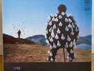 Pink Floyd  Delicate Sound Of Thunder  2LPs  Album  USSRSchallplatte MINT