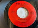 J.J.BARNES...PLEASE LET ME IN...RARE USA ISSUE SINGLE..RIC-TIC...RT 106