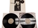 Sting: Nothing Like The Sun (2) LP 1987 Vinyl Record NM/EX W/Lyrics Poster