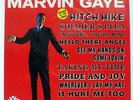 MARVIN GAYE THAT STUBBORN KINDA FELLOW TAMLA MOTOWN SWX6105 JAPAN VINYL LP