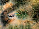 Pink Floyd A Saucerful Of Secrets Vinyl Record NM/VG+