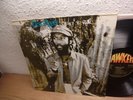 DESI ROOTS - DOING IT RIGHT LP MONSTER ROOTS / REGGAE UK LP 1980