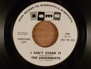 The Underbeats  I Can't Stand It/Shake It For Me Promo Garage 1966 Soma