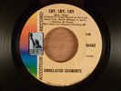Unrelated Segments Cry, Cry, Cry/It's Not Fair Promo CRAZY RARE  Garage Punk