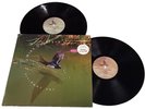 Mike Oldfield 