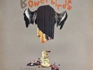 Bowerbirds ‎: Hymns For A Dark Horse (Vinyl LP 2007)  **NEW/SEALED**  RARE/OOP