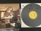 Weezer Raditude Vinyl LP 2009