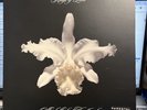 Aha Shake Heartbrake [Lp] by Kings of Leon (Record, 2004) Clear Vinyls 1st Press