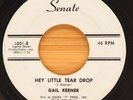 GAIL KEENER - HEY LITTLE TEAR DROP / MY PARTY'S - TEEN ROCKER 45 SENATE *HEAR*