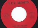 Rare Sweet Soul - GENTS & THE LADY - I Can Feel The Tears / Died Inside - Hue