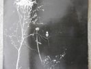Darkthrone ‎– Under A Funeral Moon LP UK BLACK METAL 33T