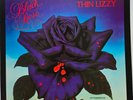 Thin Lizzy ‎Black Rose PRISTINE MINT Vinyl 1979 PLAYED ONCE TO RECORD OPEN REEL