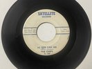 Chips 1960 DOO WOP ROCKER 45 As You Can See/You Make Me Feel SATELLITE VG++ HEAR