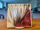 Rare Kings Of Leon Sex In Fire 45 7 Inch Vinyl