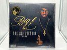 The Big Picture Limited Edition Translucent Vinyl 2LP Big L (2018)️