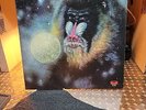 Mandrill mandrill IS Lp1972 pd 5025 gatefold W/Lyrics  Sheet