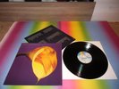 Swans - The Burning World *MINT*1989*ARCHIV*OIS+TEXTE* RARE INDIE*PROG*ROCK LP