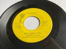 Very Rare 1967 Garage 45 *Shadden & The King Lears* All I Want Is You  Arbel
