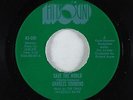 Funk 45 - Charles Simmons - Save The World - Hitsound - VG++