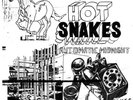 Hot Snakes |  Vinyl LP | Automatic Midnight  | Sub Pop Records