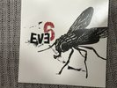 Eve 6 Self Titled Smokey Clear Vinyl  RARE 1990s Alternative Debut