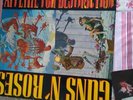Appetite for Destruction by Guns n' Roses (Vinyl, 1987, 1-Disc, Geffen...