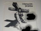 RARE Vaginal Jesus Anal Cunt Black Vinyl Orig Press Poster Grindcore Boston