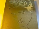 ELVIS - A GOLDEN CELEBRATION - Box-Set - 6 LPs - Vinyl 12