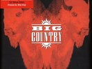 Big Country - The Buffalo Skinners 2x180g Vinyl LP 2021 Remaster *New & Sealed*