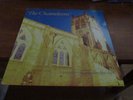 THE CHAMELEONS - A Person Isn't Safe Anywhere These Days  - Ep -1983 Near-Mint
