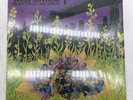 Wildflowers 1 (The New York Loft Jazz Sessions) Douglas NBLP 7045 EX/NM