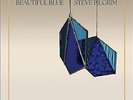 Steve Pilgrim Beautiful Blue [NEW & SEALED] 12