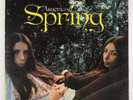 AMERICAN SPRING UNKNOWN UK RELEASE VINYL LP ALBUM STEREO - VG+/VG+