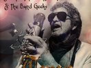 Jon Anderson & The Band Geeks - True Gold Colored Vinyl  (2024 - EU - Original)