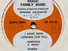 Ngozi Family Band ‎– I Have Been Looking For You / We Were Not Told - Zamrock