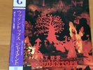 THE WOODENTOPS GIANT JAPAN LP OBI 25RTL-3016
