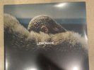 Beyoncé – Lemonade - Yellow 2 x LP Vinyl Records 12