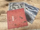 3 x Ride - Chelsea Girl + Fall + Today Forever (Creation Records) 12” EX/EX