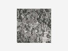 Rose First Single Vinyl LP R Limited Edition