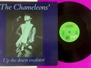 The CHAMELEONS Up The Down Escalator (1983) IMPORT 12